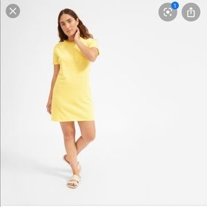 Never worn Everlane yellow striped dress